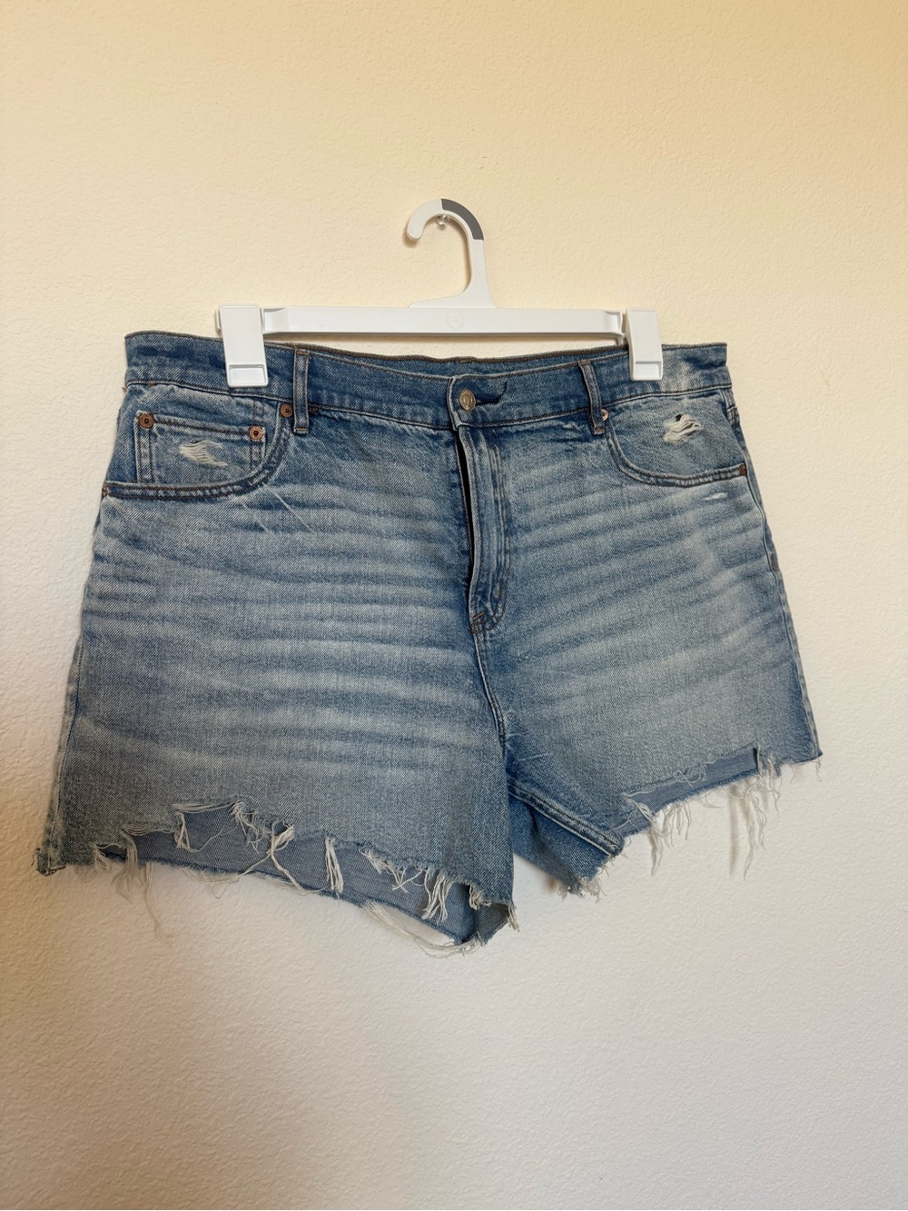 American Eagle Strigid Shorts